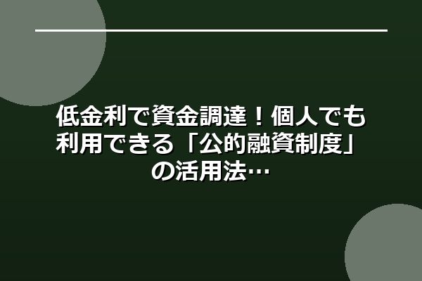 低金利で資金調達！個人でも利用できる「公的融資制度」の活用法